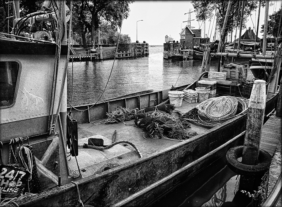 2015 HoornZW 5 900px